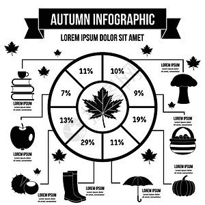 秋季信息图矢量海报图片