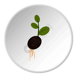 柳树发芽插画-柳树发芽卡通-布鲁塞尔血统1890年自然的胜利插图-摄