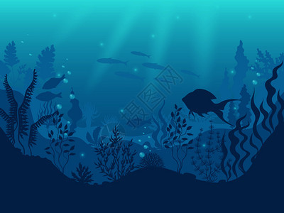 海底珊瑚礁洋鱼类 背景图片