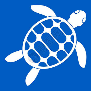 卡通动物乌龟设计图片