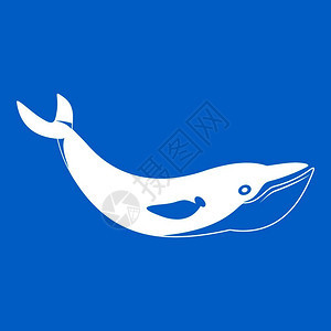 蓝底鱼类鲸鱼鲨鱼背景矢量图图片