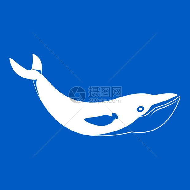蓝底鱼类鲸鱼鲨鱼背景矢量图图片
