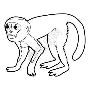 猕猴插画_猕猴卡通_猕猴插图_手绘_板绘_摄图网