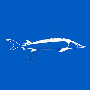 蓝底鱼类鲨鱼鲸鱼深海鱼矢量背景图图片