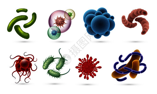 检微实事求是的细菌胞和感染在白色隔离的显微镜中可见生物体矢量细菌