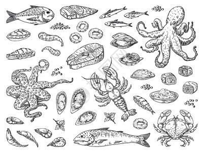 章鱼鱿蟹牡蛎和海洋鱼草图作为餐厅菜单矢量海餐雕刻手工提取海产食品矢量餐图片