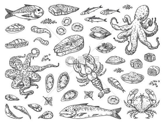 章鱼鱿蟹牡蛎和海洋鱼草图作为餐厅菜单矢量海餐雕刻手工提取海产食品矢量餐图片