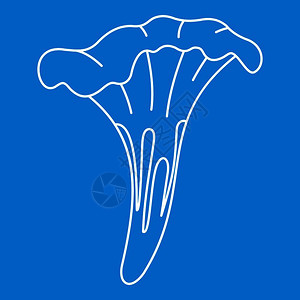 木耳详情插画_木耳详情卡通_木耳详情插图_手绘_板绘_摄图网