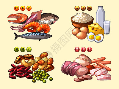 含有不同维生素鱼类和肉有用的维生素营养乳酪和牛奶成分的各类新鲜产品病媒说明含有不同维生素的各类新鲜产品图片