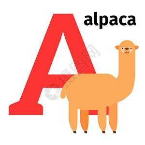 英文动物园字母表alpc矢量说明英文动物园字母a图片