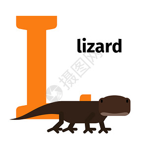 英文动物园字母表l蜥蜴矢量说明英文动物园字母表l插画