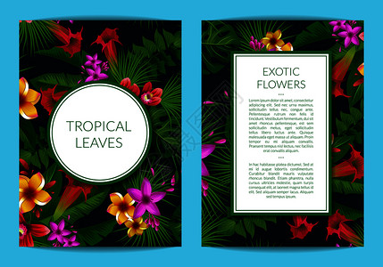 热带棕榈叶花卉元素贺卡模板图片