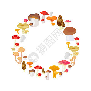 以白色背景隔离的蘑菇圆框架矢量图示以白色孤立的蘑菇圆框架图片