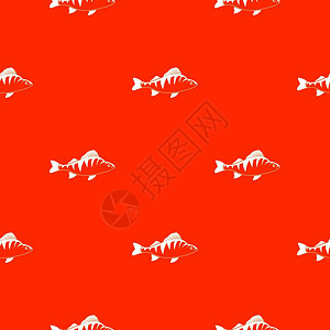 鱼类深海鱼矢量背景图红色橙色图片