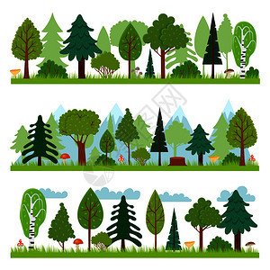 森林树木全景矢量图图片