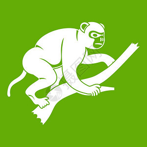 猴子正在爬上树的图标白色在绿背景上隔离矢量说明猴子正在爬上树的图标绿色图片