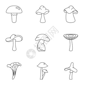 黑松露菌汤插画