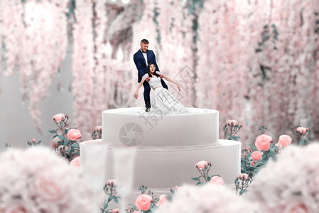 结婚蛋糕新娘和新郎在顶上高清图片