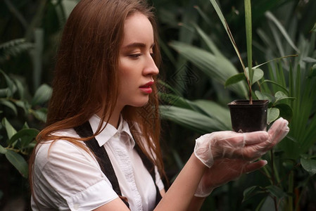 种植植物图片