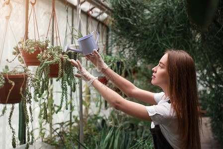 种植植物图片