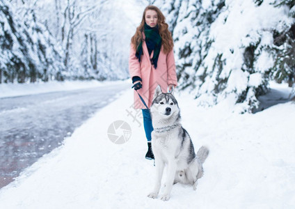 下雪的冬天年轻女子带着狗狗在公园散步图片