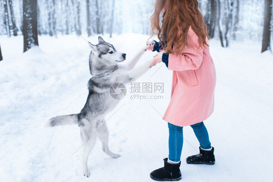 下雪的冬天年轻女子带着狗狗在公园一起玩耍图片