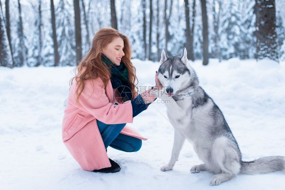 下雪的冬天年轻女子带着狗狗在公园一起玩耍图片