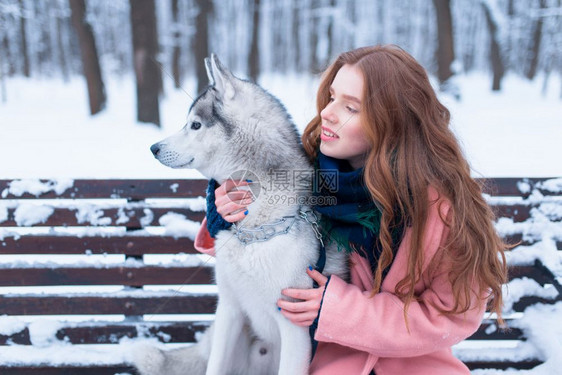 下雪的冬天年轻女子带着狗狗一起坐在公园的长凳上图片