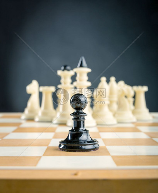 站在白象棋队面前的黑白子图片