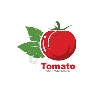 矢量新鲜番茄元素图片