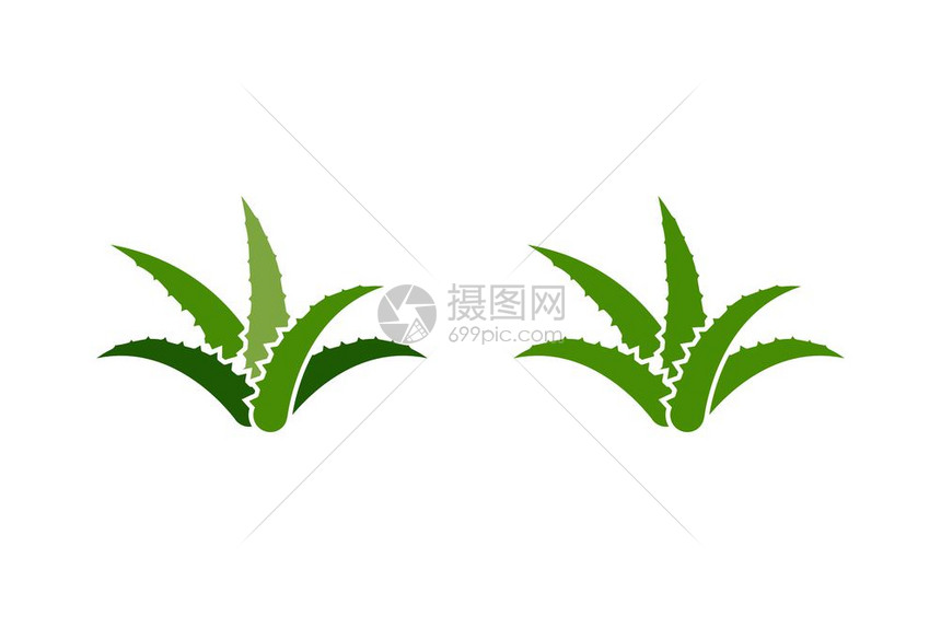 芦荟矢量图标图片