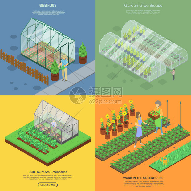 温室种植农作物图片