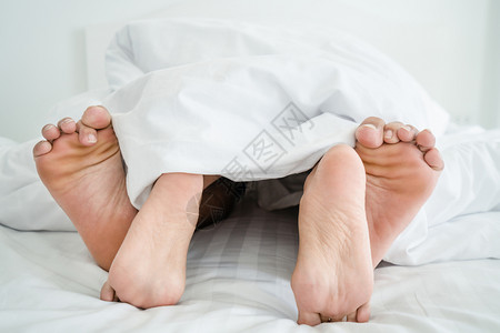 白色恋人石屋工厂背景