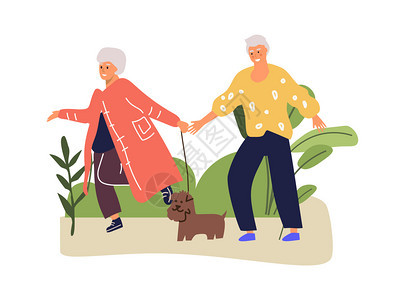 老年夫妇与狗一起在公园散步秋天浪漫的微笑情侣老年活动概念图片