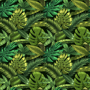 绿色热带树叶矢量图图片
