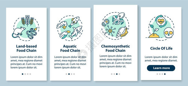 带概念的移动应用程序页面屏幕上的食物链生过程多样横穿4步图形指示ui矢量模板配有rgb颜色插图图片