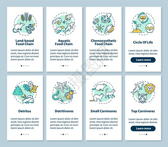 包含概念集的移动应用程序页面屏幕上的食物链生过程态系统横穿4步图示说明ui矢量模板配有rgb颜色插图图片