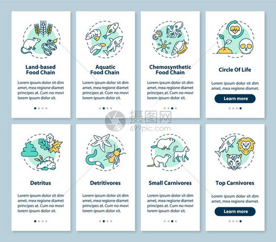 包含概念集的移动应用程序页面屏幕上的食物链生过程态系统横穿4步图示说明ui矢量模板配有rgb颜色插图图片