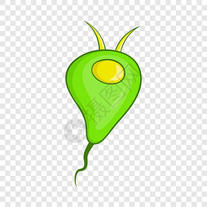 放大的细菌图片