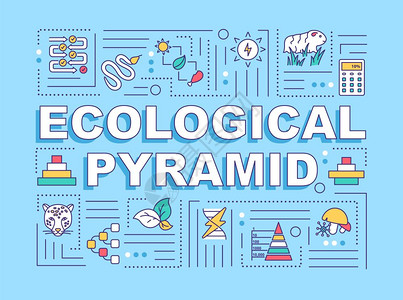金字塔生态概念横幅生物多样产者和消费带有绿背景线图标的表孤立打字法矢量图示彩色图片