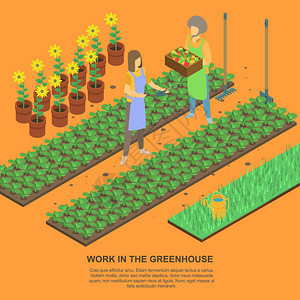 温室种植农作物插画图片