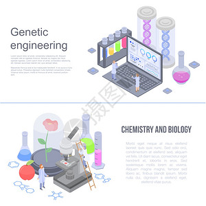 一组用于网络设计的基因工程矢量标语图片