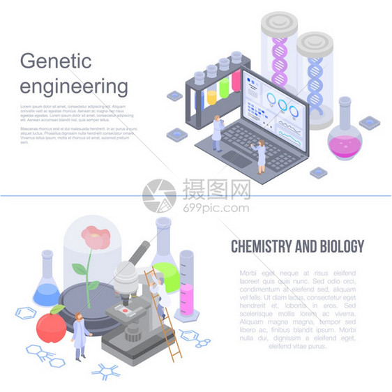 一组用于网络设计的基因工程矢量标语图片