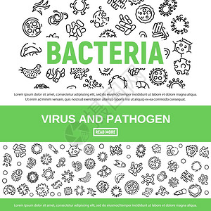 细菌标语集细菌大纲网络设计矢量标语集大纲样式图片
