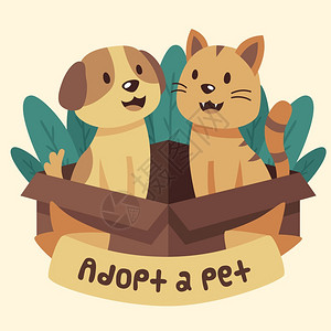 猫和狗情侣图片图片