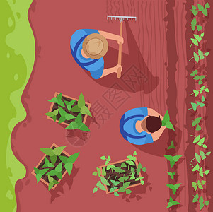 种植有机作物和生态农民用于商业途的2d卡通字符农业半平式病媒图示图片