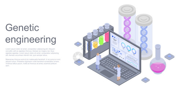 用于网络设计的遗传工程矢量概念横幅的等图示遗传工程概念横幅等度风格图片