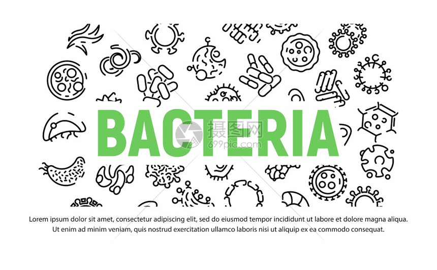 细菌横幅用于网络设计的细菌矢量横幅大纲插图样式图片