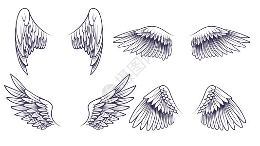 鸟翅膀画天使组装的画像有羽毛的翅膀组装画像黑色鸟翅膀的轮廓用于