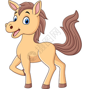 牛仔马术白色背景上孤立的可爱小马卡通设计图片